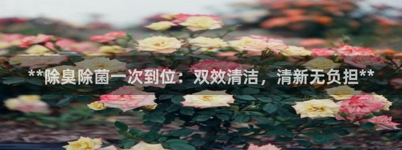 尊龙app登录不了：**除臭除菌一次到位：双效清洁，清新