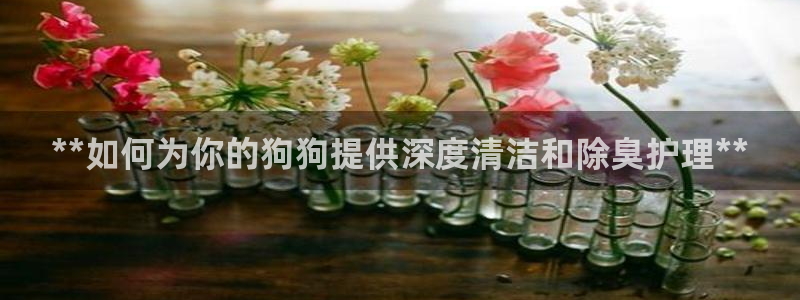 尊龙凯时公司官网