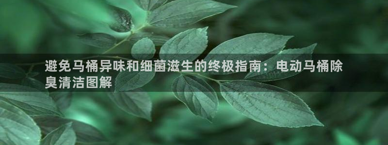 尊龙凯时官网登录入口：避免马桶异味和细菌滋生的终极指南：