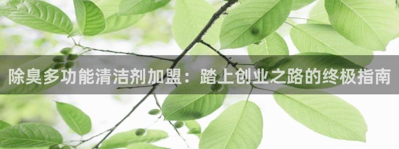 尊龙新版手机app下载：除臭多功能清洁剂加盟：踏上创业之